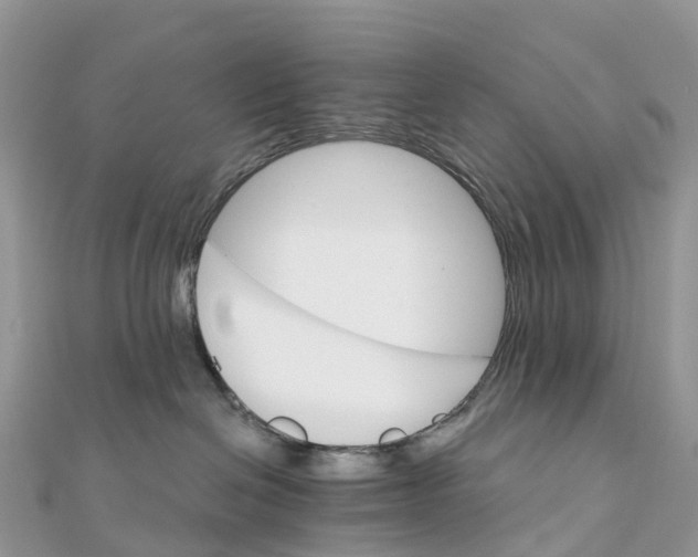 X0000111510286200908111315