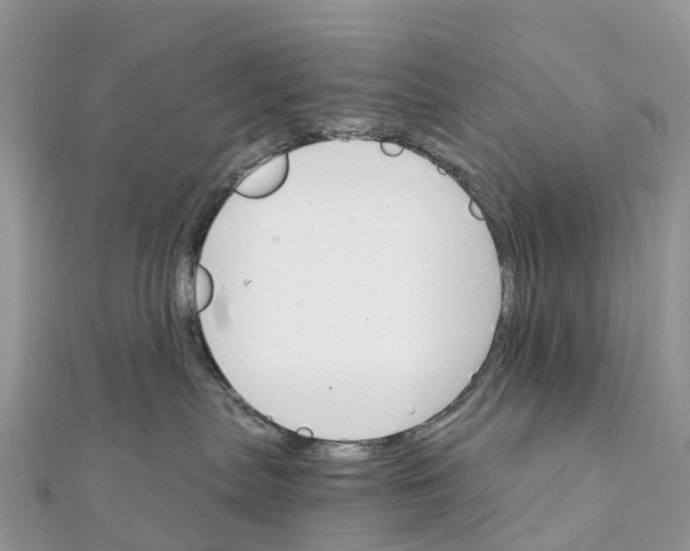 X0000111510287200908111315