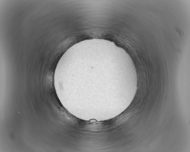 X0000111510288200908111315