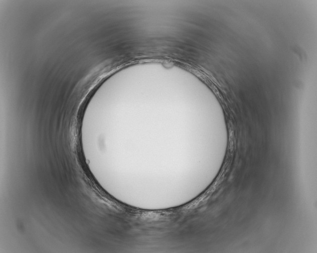 X0000111510290200908111315
