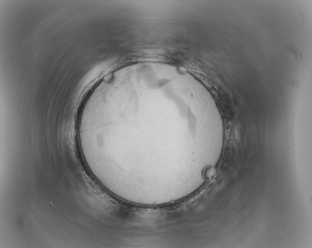 X0000111510293200908111315