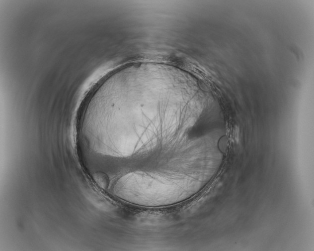 X0000111510294200908111315