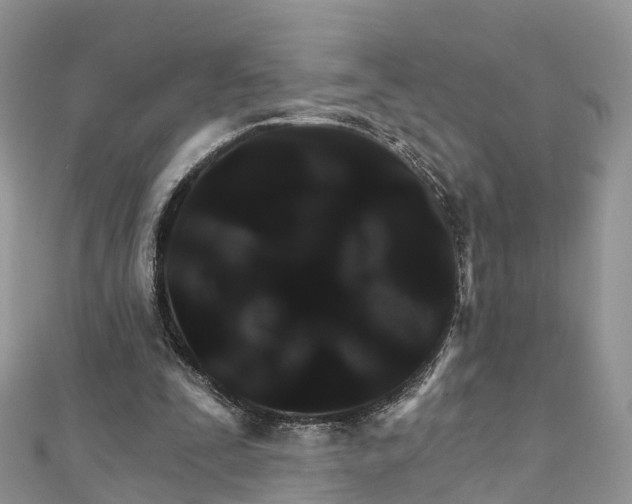 X0000111510295200908111315