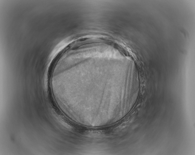 X0000111510296200908111315