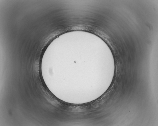 X0000111510297200908111315