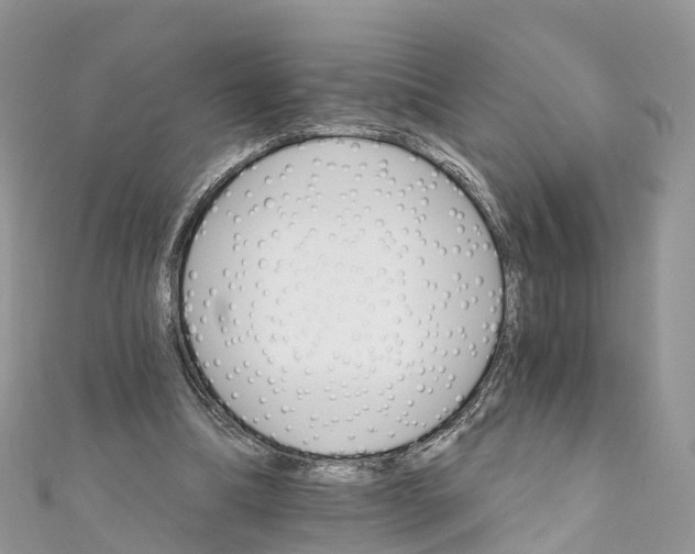 X0000111510298200908111315
