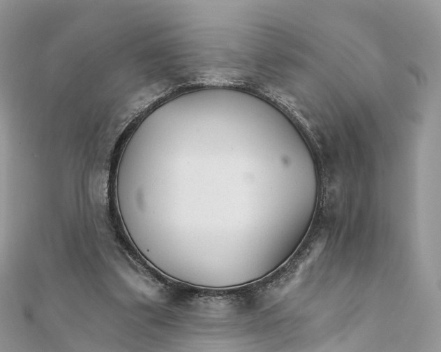 X0000111510299200908111315