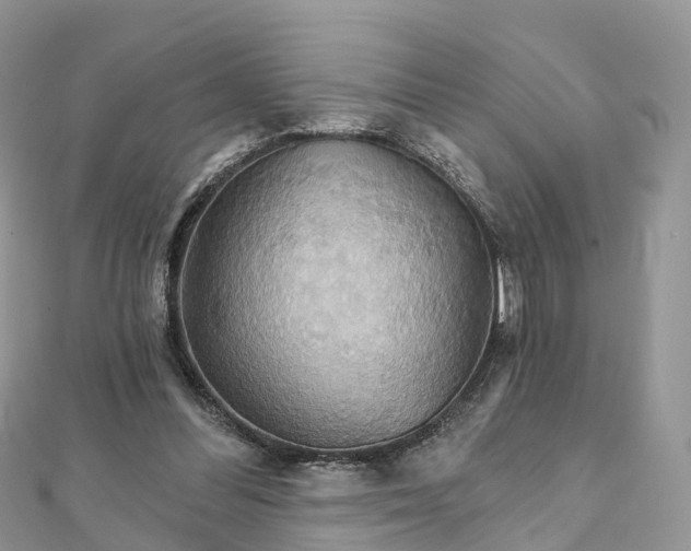 X0000111510300200908111315
