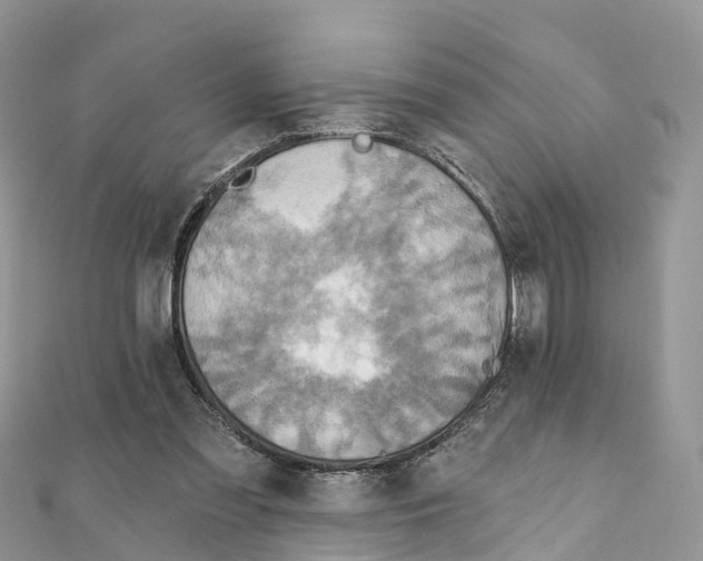 X0000111510301200908111315