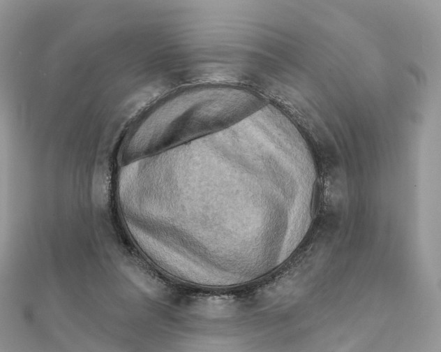 X0000111510304200908111315