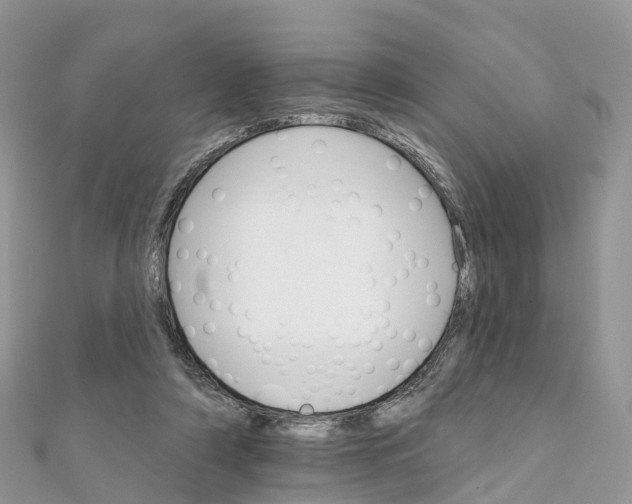 X0000111510306200908111315