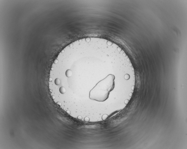 X0000111510307200908111315