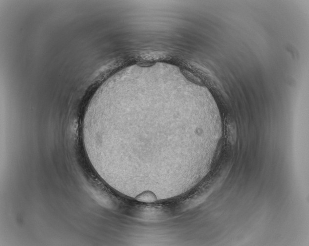 X0000111510308200908111315