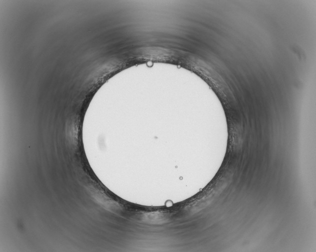 X0000111510309200908111315