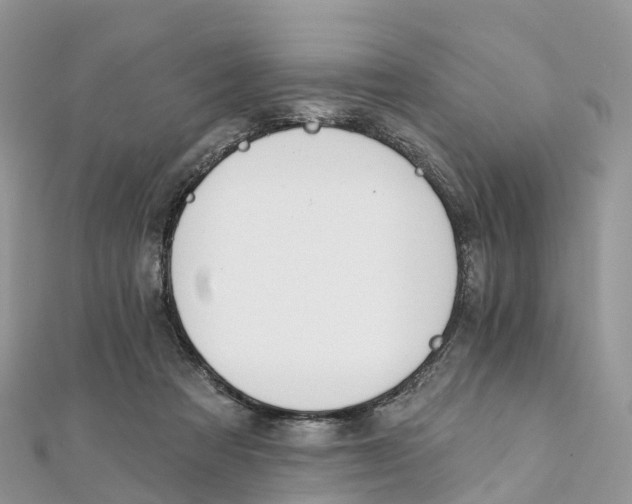 X0000111510313200908111315