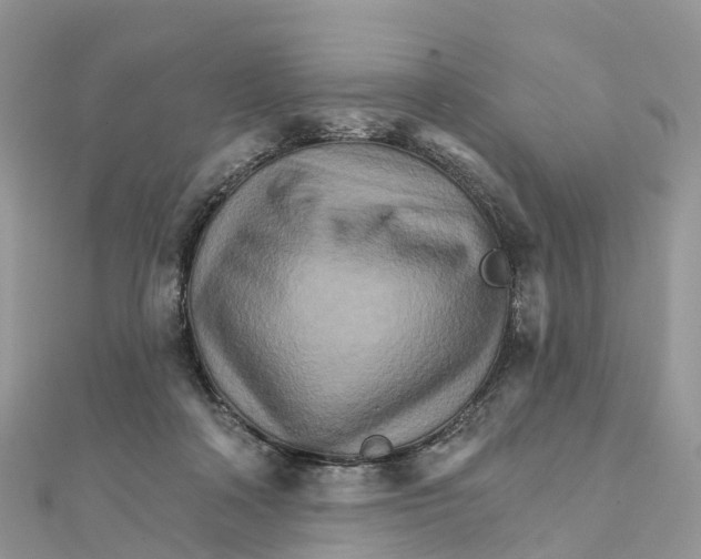 X0000111510314200908111315