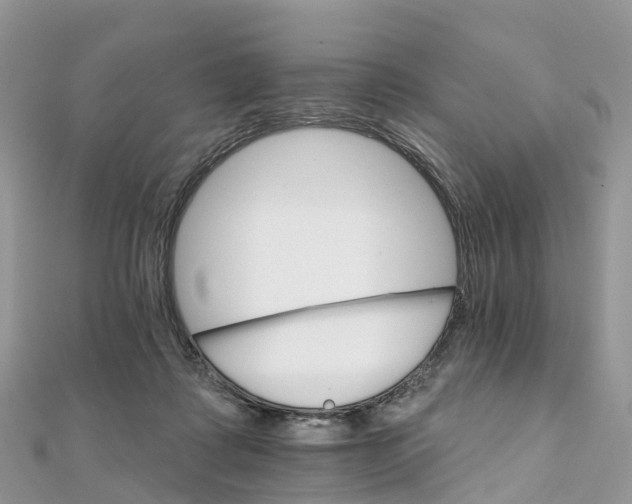 X0000111510315200908111315