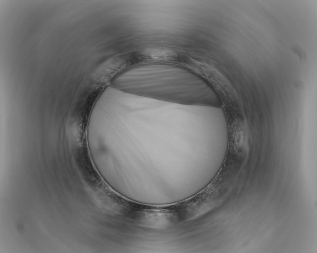 X0000111510316200908111315