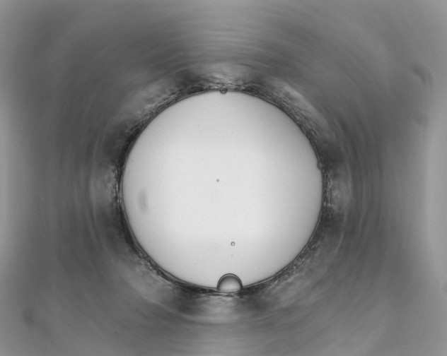 X0000111510318200908111315