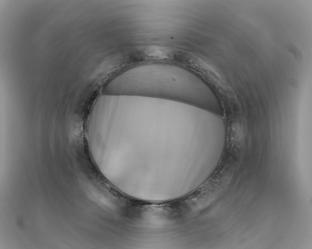 X0000111510320200908111314