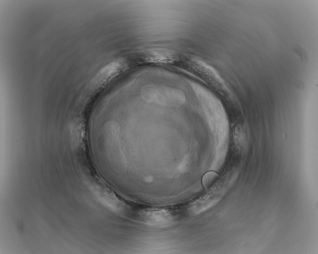 X0000111510322200908111314