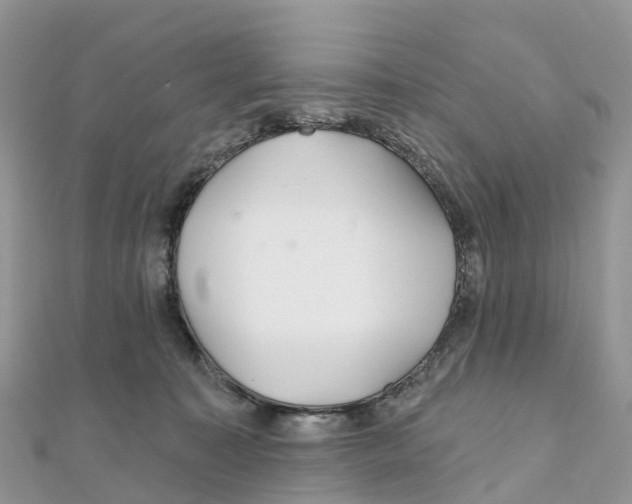 X0000111510323200908111314