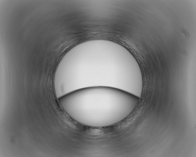 X0000111510325200908111314