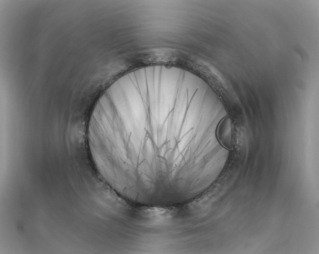 X0000111510326200908111314