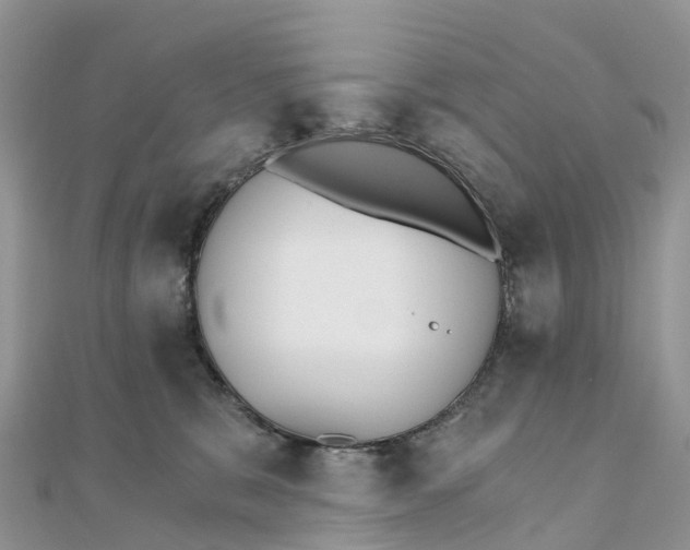X0000111510327200908111314