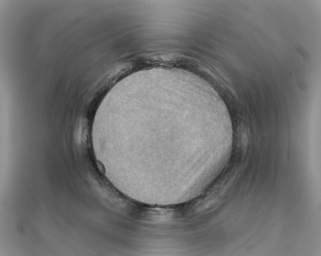 X0000111510328200908111314