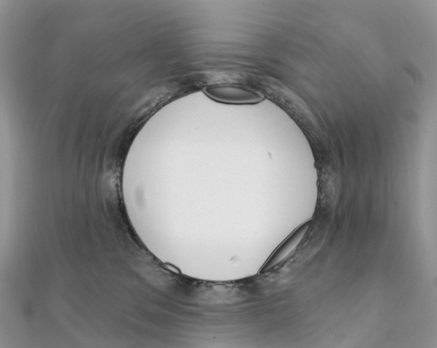 X0000111510329200908111314
