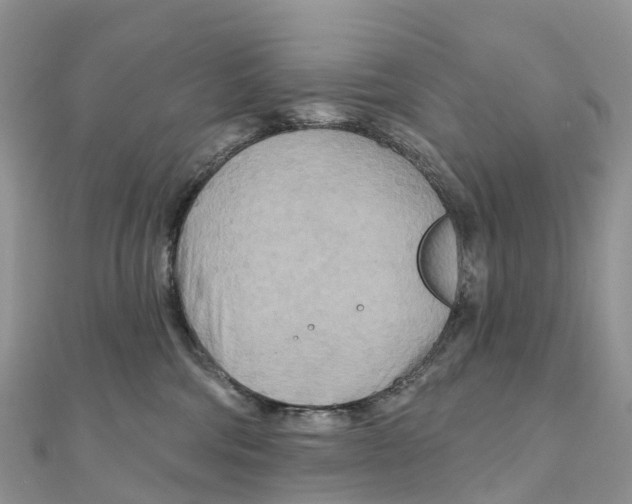 X0000111510330200908111314