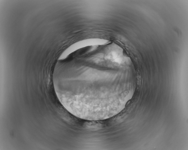 X0000111510331200908111314