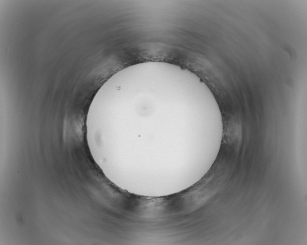 X0000111510334200908111314