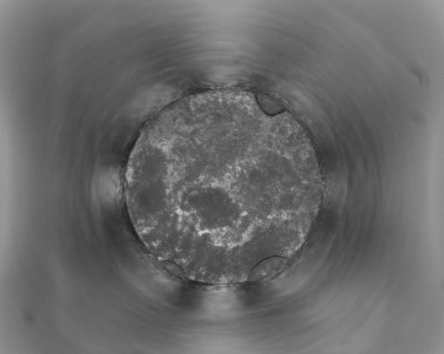 X0000111510335200908111314