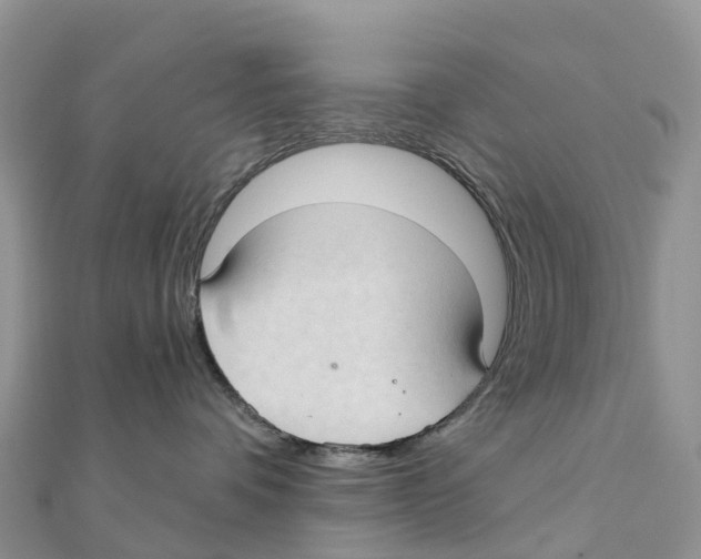 X0000111510336200908111314