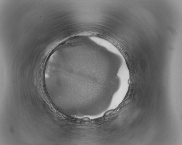 X0000111510337200908111314