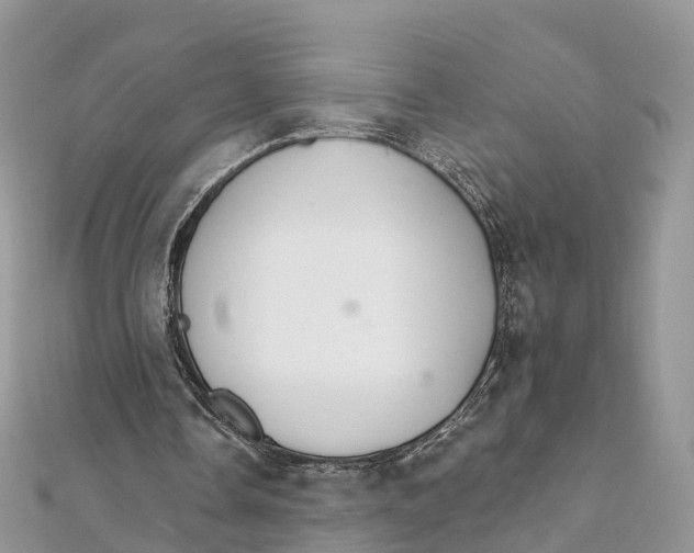 X0000111510338200908111314