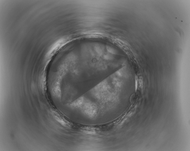 X0000111510339200908111314