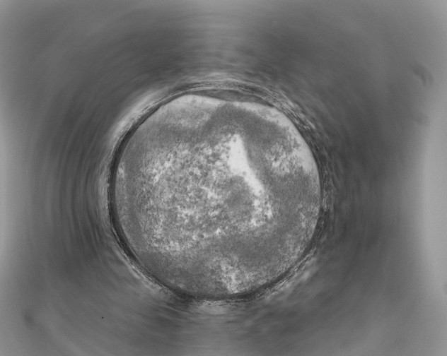 X0000111510341200908111314