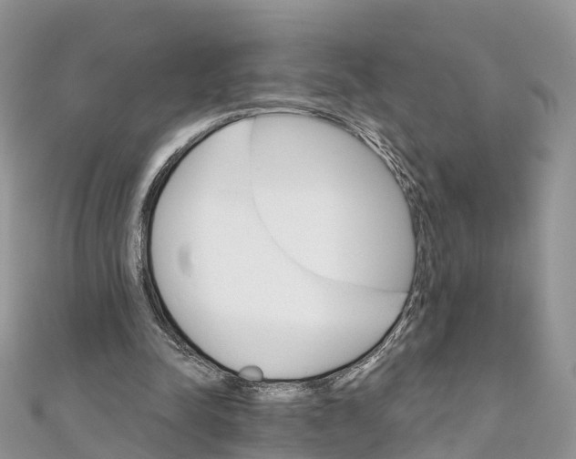 X0000111510342200908111314