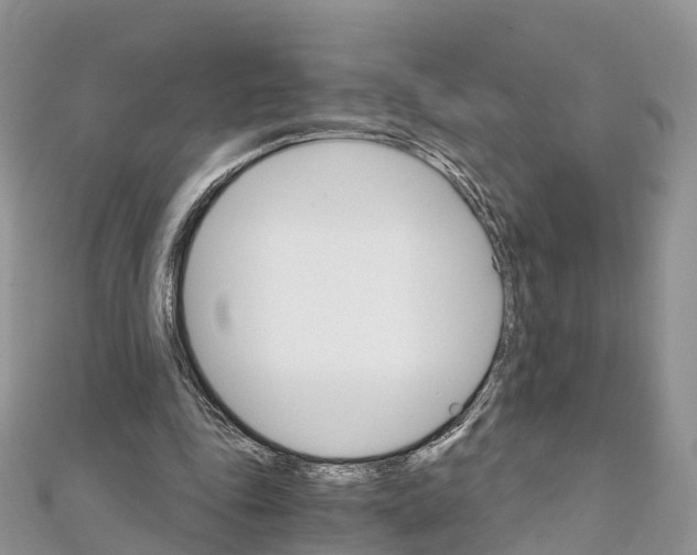 X0000111510343200908111314
