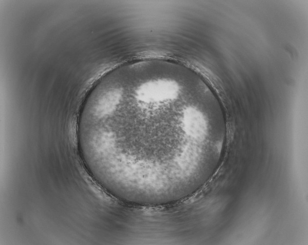 X0000111510345200908111314