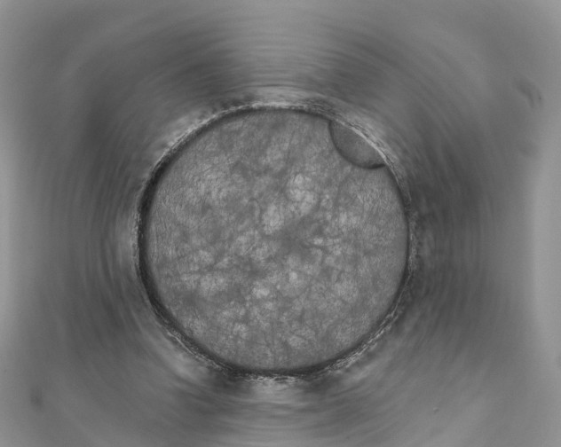 X0000111510346200908111314