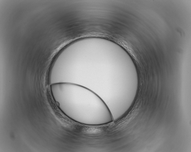 X0000111510348200908111314