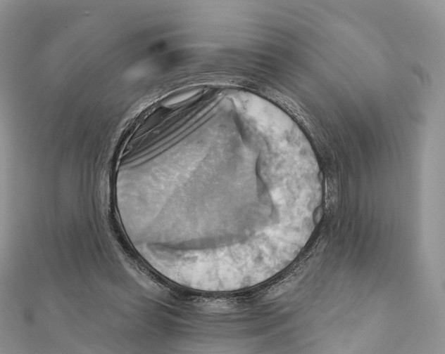 X0000111510349200908111314
