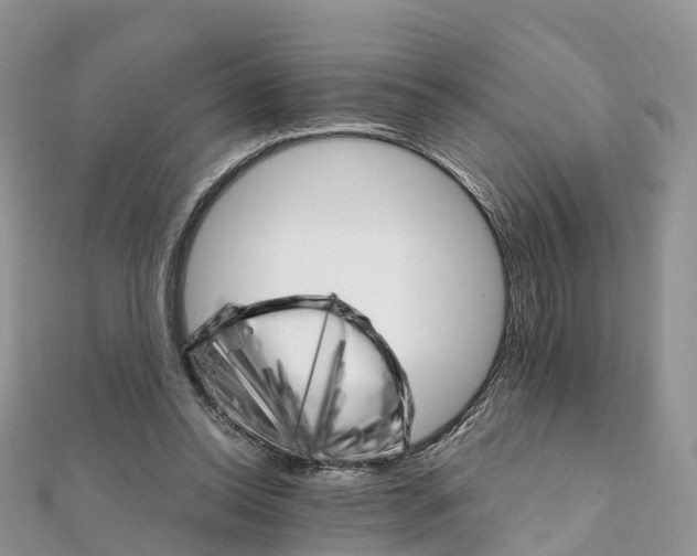 X0000111510350200908111314
