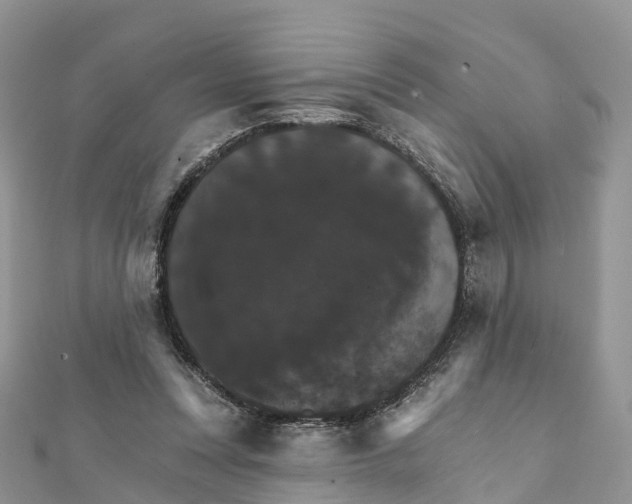 X0000111510351200908111314