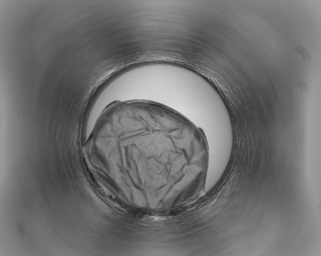 X0000111510352200908111314