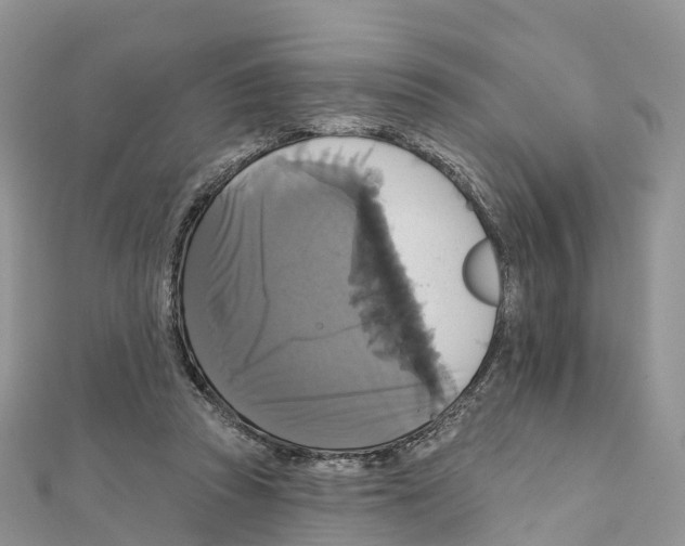 X0000111510353200908111314